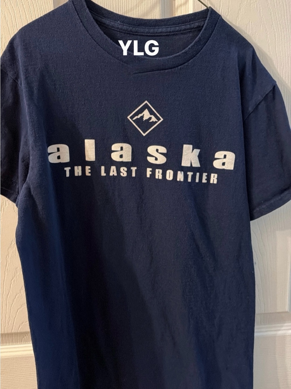 Navy Short Sleeve Alaska Graphic Tee